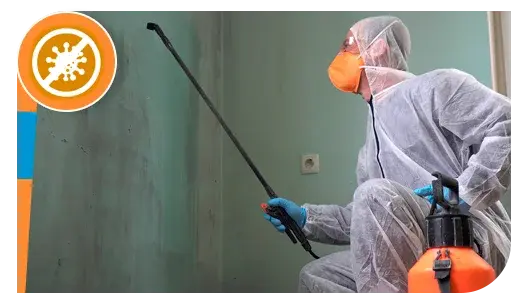 Mold-Removal-2